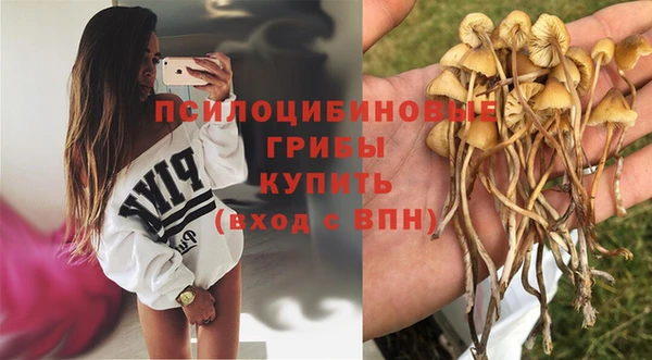 мескалин Осинники