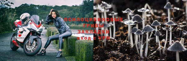мяу мяу мука Нягань
