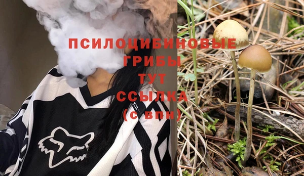 прущая мука Осташков